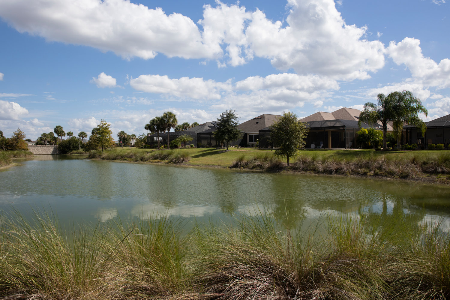 Rentention pond in a neighborhood in the Villages.